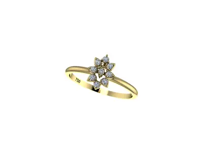 Shine Ring 3D print model
