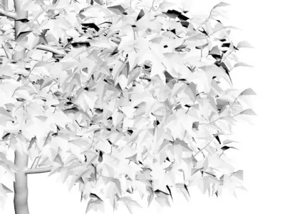 Young tree in ceramic pot 3D model