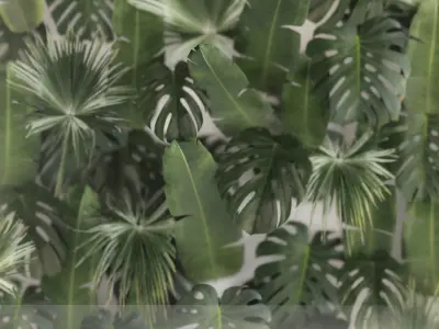 Vertical Garden In A Phyto Box Of Plant Leaves 3D model