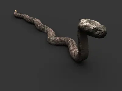 Snake 3D model