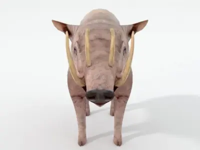 Babirusa warthog Low-poly 3D model