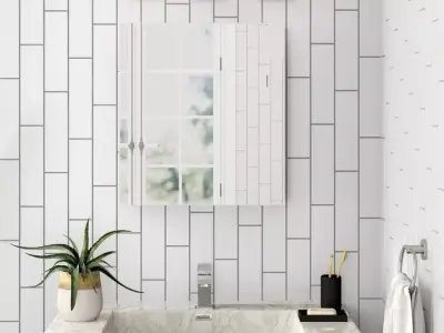 Jorrie Surface Mount Frameless Medicine Cabinet Mirror Free 3D model