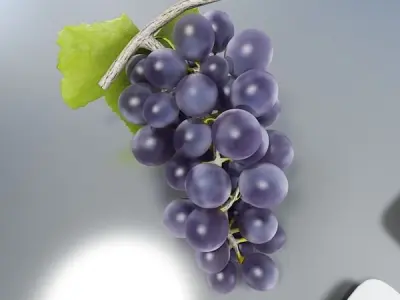Black Grapes High Detail 3D model