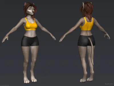 Furry Girl 3D model