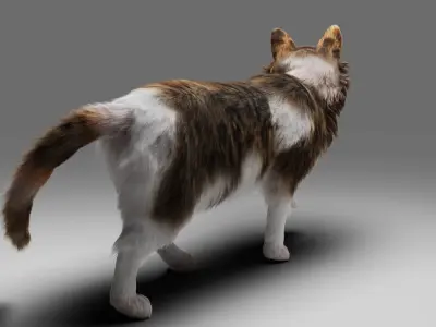 Fur Cat Calico V03 Rigged Low-poly 3D model
