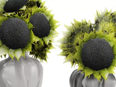 Beautiful Bouquet Of Green And Black Sunflowers vase decor 3D model