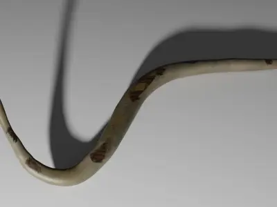 Boa Constrictor Snake Python Low-poly 3D model