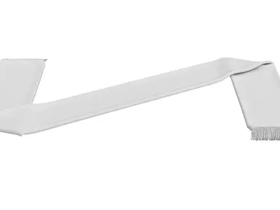 Football Fan Scarf 04 3D model