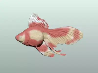 Goldfish Pose 2 3D print model