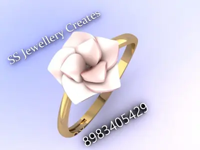 Plan-Rings-Description Check 3D print model