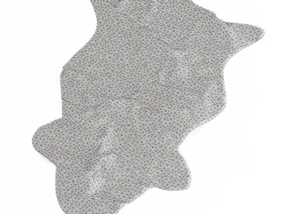 Bedside Sheepskin Rug 08 3D model