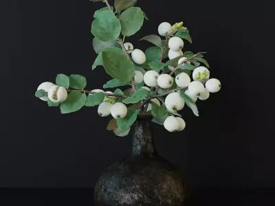Snowberry branch in vase 3D model