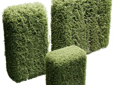 Hedge Cubic and Topiary Bush - outdoor plant set 233  3D model