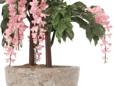 Elegant Cascading Pink Blossom tree 3D model