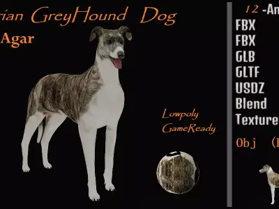 Hungarian Greyhound Magyar AgaR Dog Low-poly 3D model