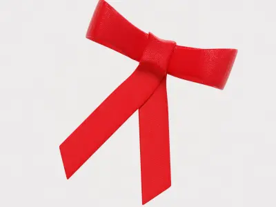 Ribbon High quality 3d model Low-poly 3D model