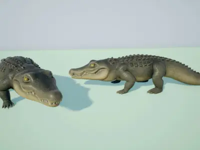 Crocodile stylized Low-poly 3D model