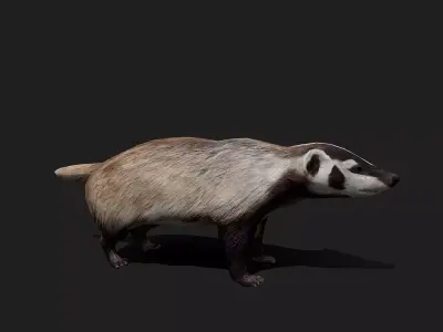 ULTIMATE 3D ANIMAL PACK - 70 percent OFF - All Models Included Low-poly 3D model