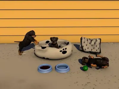 Pet Acessories Low-poly 3D model