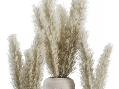 Indoor Plant SetV23 - Pampas old pot 3D model