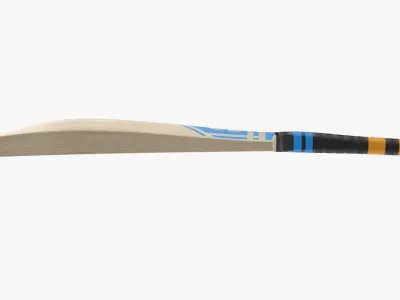 Cricket Bat Low-poly 3D model