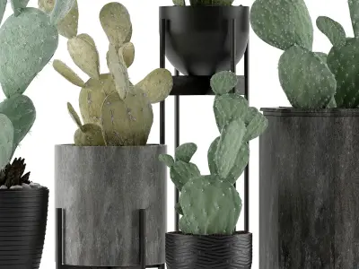 Plants Collection 17 3D model