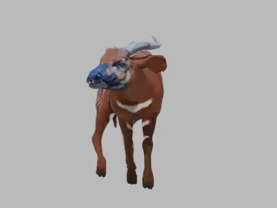 Female Bongo Antelope Realistic 3D model