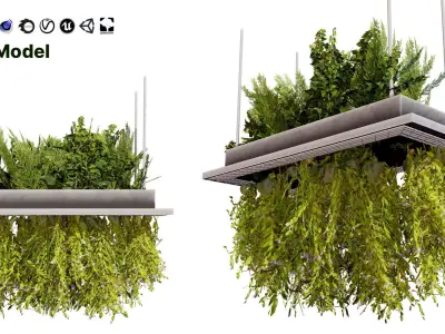 Modern Hanging Planter with Cascading Plants Low-poly 3D model