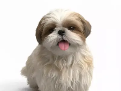 cute dog 3D model get