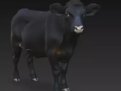 Angus Cow 3d Model Low-poly 3D model