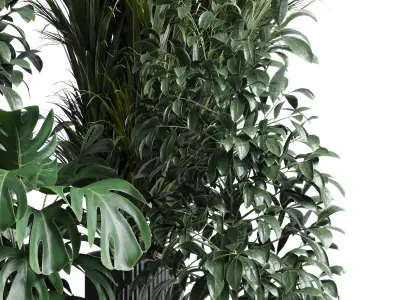 indoor plant set 308 pot palm ficus rubbery monstera Low-poly 3D model