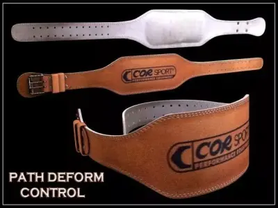 Lifting belt 3D model