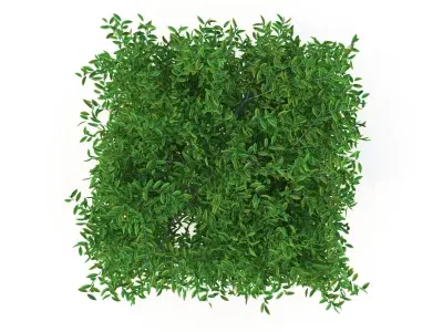 Square tree 3D model