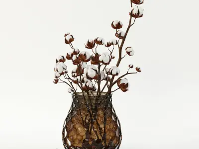 Cotton in a vase 3D model