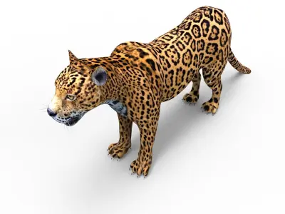 3D Leopard low poly model jaguar Low-poly 3D model