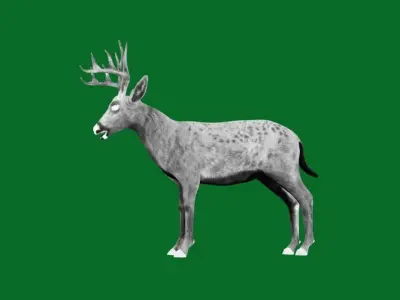 Virginia Deer Low-poly 3D model