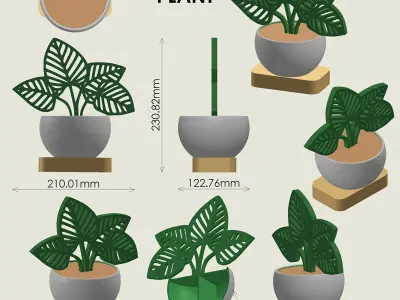 Decorative Plant 3D print model