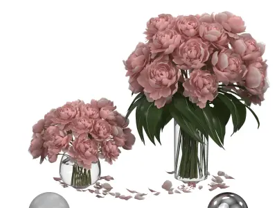 pastel peonies 2 vases 3D model