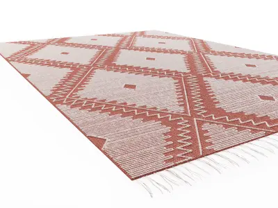 Tierra Natural Rug 3D model