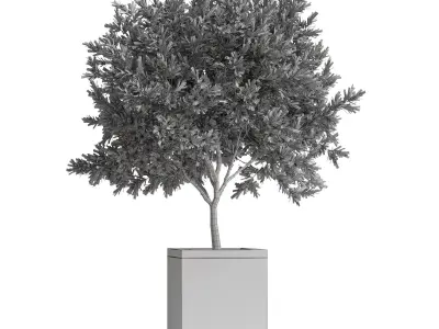 Plants collection 769 3D model