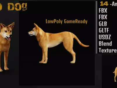 Dingo Dog Low-poly 3D model