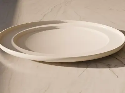plate 3D model