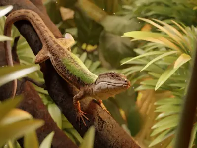 Green Lizard - Podarcis Sicula HQ Low-poly 3D model
