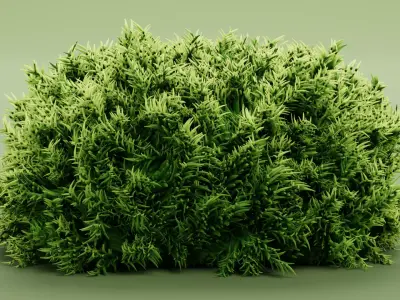Moss V1 Low-poly 3D model