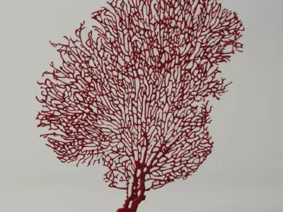 Red Gorgonaria Decoration 3D model