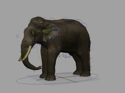 asian elephant 3d rig model 3D model