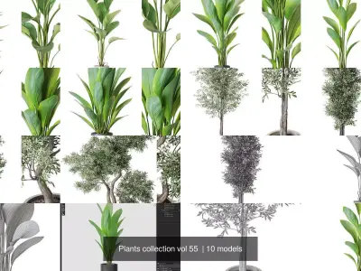 Plants collection vol 55 