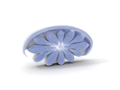 Elegant White Floral Medallion model pack Low-poly 3D model