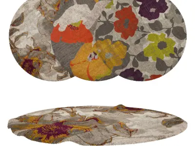 Round Rug Set 295 3D model