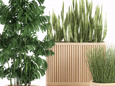 Decorative plants in a bamboo flowerpots 799 3D model